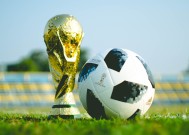 J9 Jiuyou Sports-体坛双星同日闪耀，大坂直美巅峰对决，字母哥50分激战快船